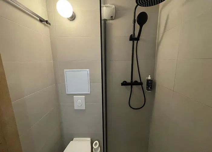 鲁昂中心布里特酒店